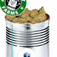 polemboite