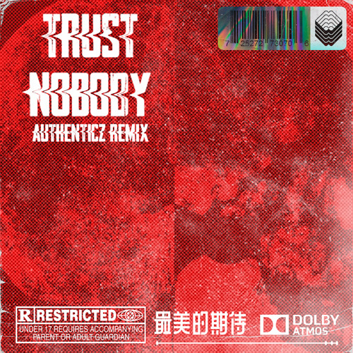DJ SNAKE - TRUST NOBODY (AUTHENTICZ REMIX)