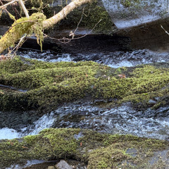 Babbling Brook - MixPre7580
