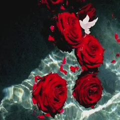 ‎⁨هاني شاكر من غير ليه 2⁩.m4a