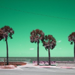 WL//WH - JANUARY 2025 // Shoegaze /Dream Pop /Psychedelic /Indie Pop