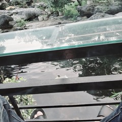 chang can li do (remix)