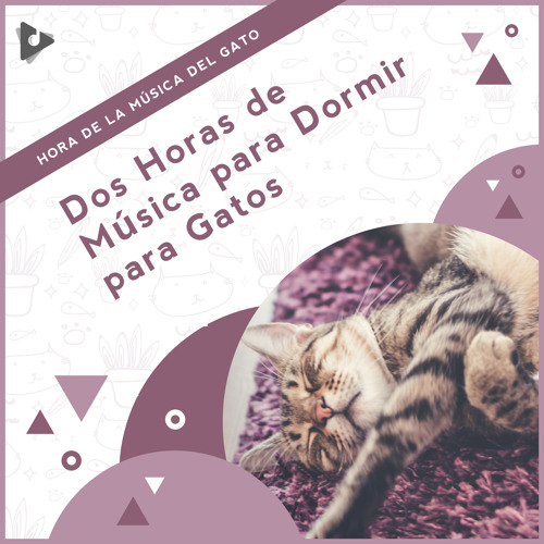 Stream Hora de la Música del Gato | Listen to 2 Horas de Música para Dormir  para Gatos playlist online for free on SoundCloud