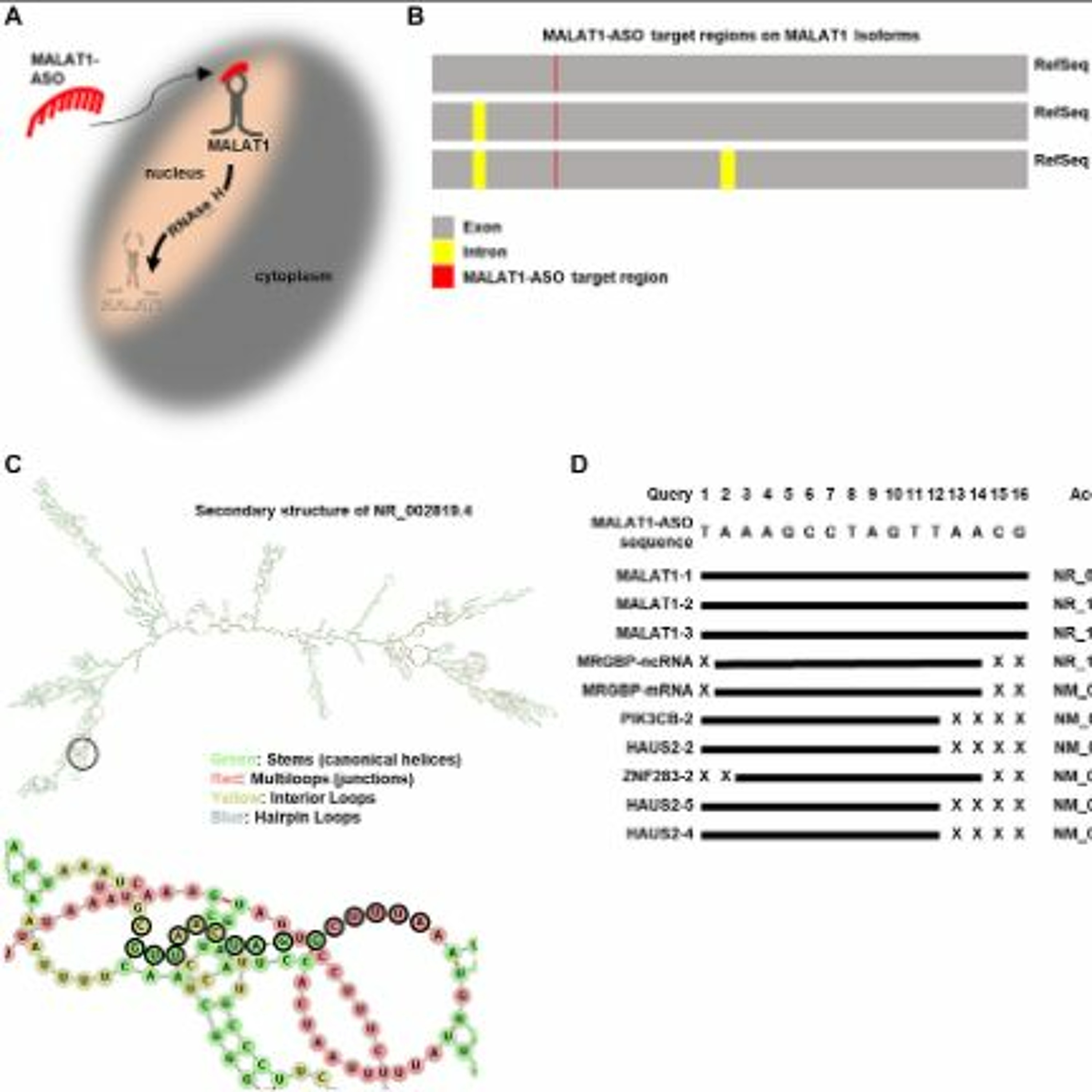Oncotarget