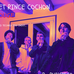 SET RINCE COCHON 1