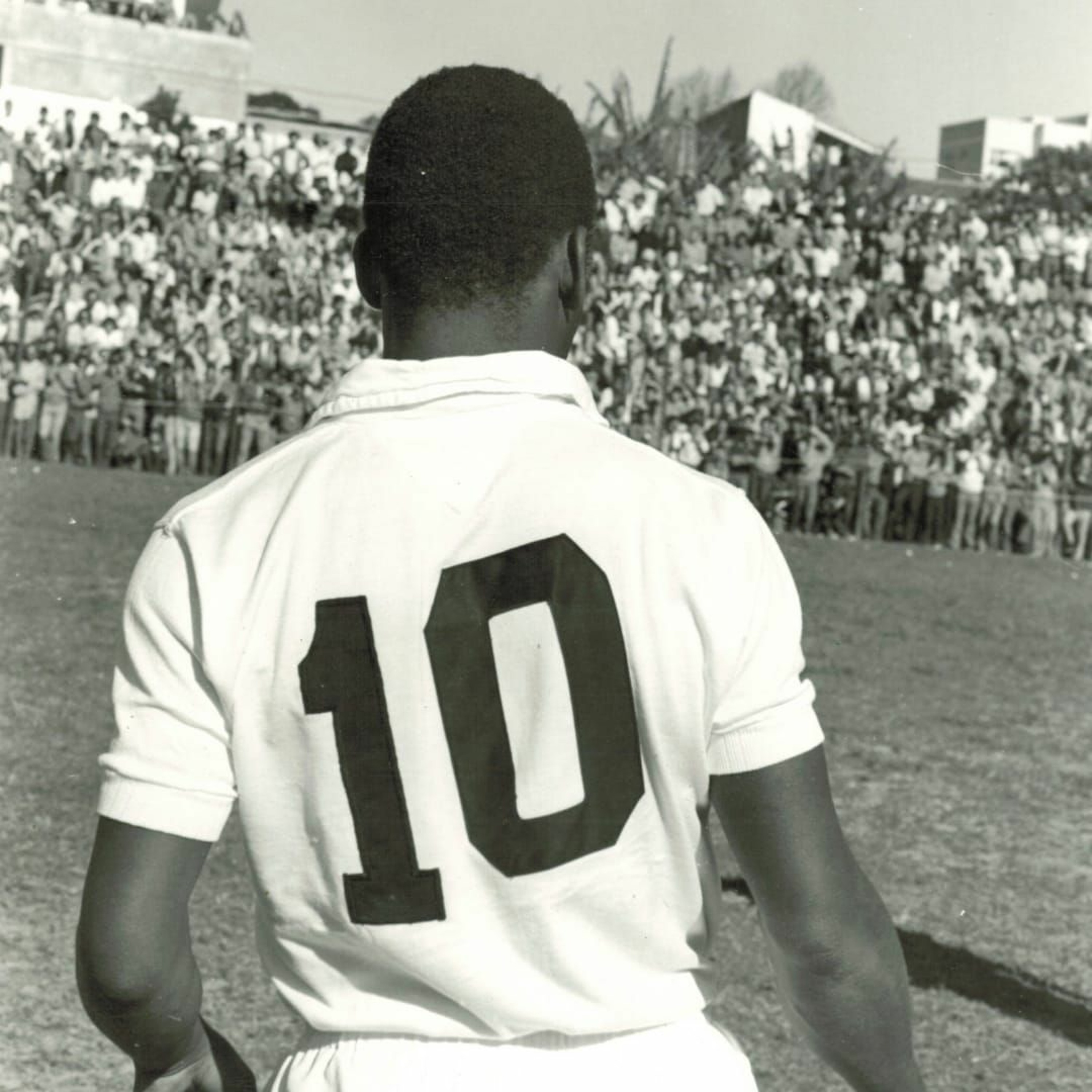 Alvinegros da Vila