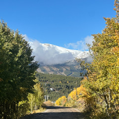 LUUCA vs. TNH 2025 Update