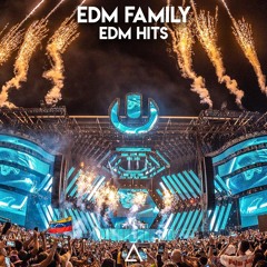 EDM HITS 2025 🔥