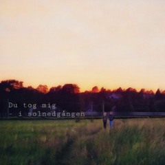 Du Tog Mig (I Solnedgången)(Feat. Pedro Pedal)