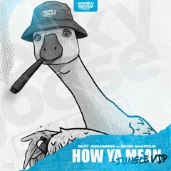 BEAT ASSASSIN'S FT. RIDER SHAFIQUE - HOW YA MEAN (FREE DOWNLOAD)