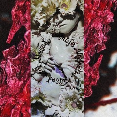 Autoshade - Curse-Rotted [LUNAR FUMES]
