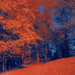 Autumn Is Over [InhaleLove] by VINO