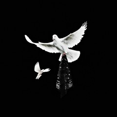 Top Vato (Tank Tribute)