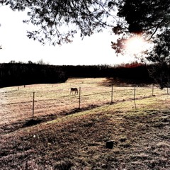 Hatin (You Can't Stop It) [Prod. Xon]