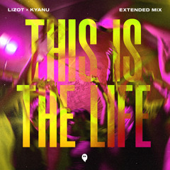 This Is The Life (Extended Mix)