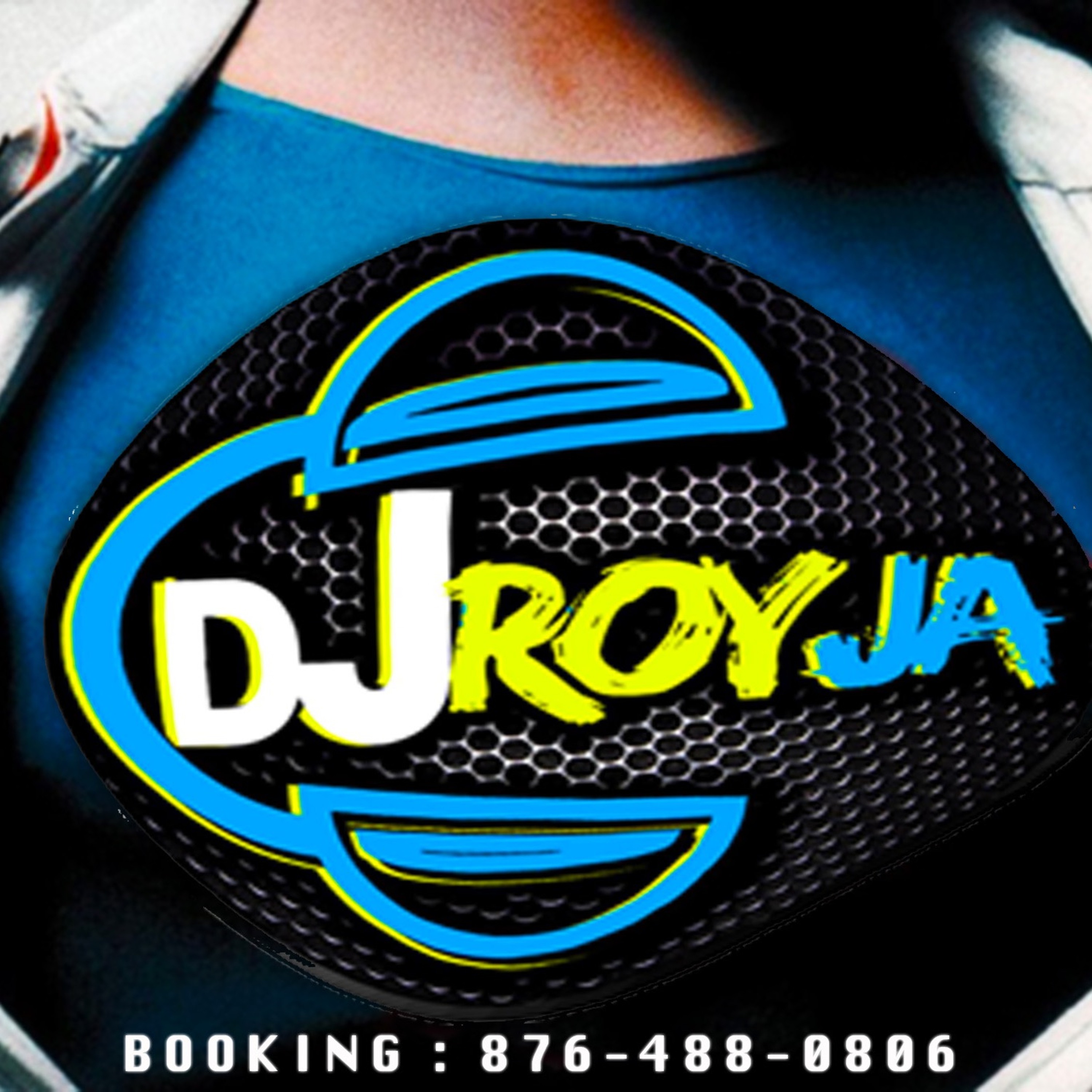 DJ ROY @SEABREEZE,ST ANN   28.1.2017 [LIVE AUDIO]