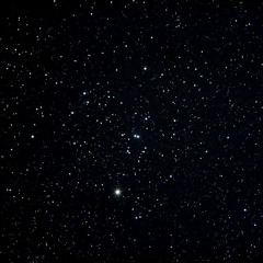 rooftop (thinking bout u)