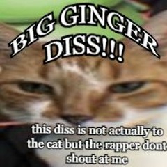Belittled Ginger  - BIG GINGER DISS