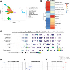 Engineered Bacterial Therapy Activates Immune Response in Cancer Preclinical Studies
