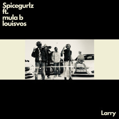 Spicegurlz - LARRY_3512 x Mula B x Louisvos - Zonamo Remix
