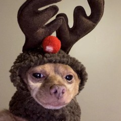 Santa Tell Me x Come Home