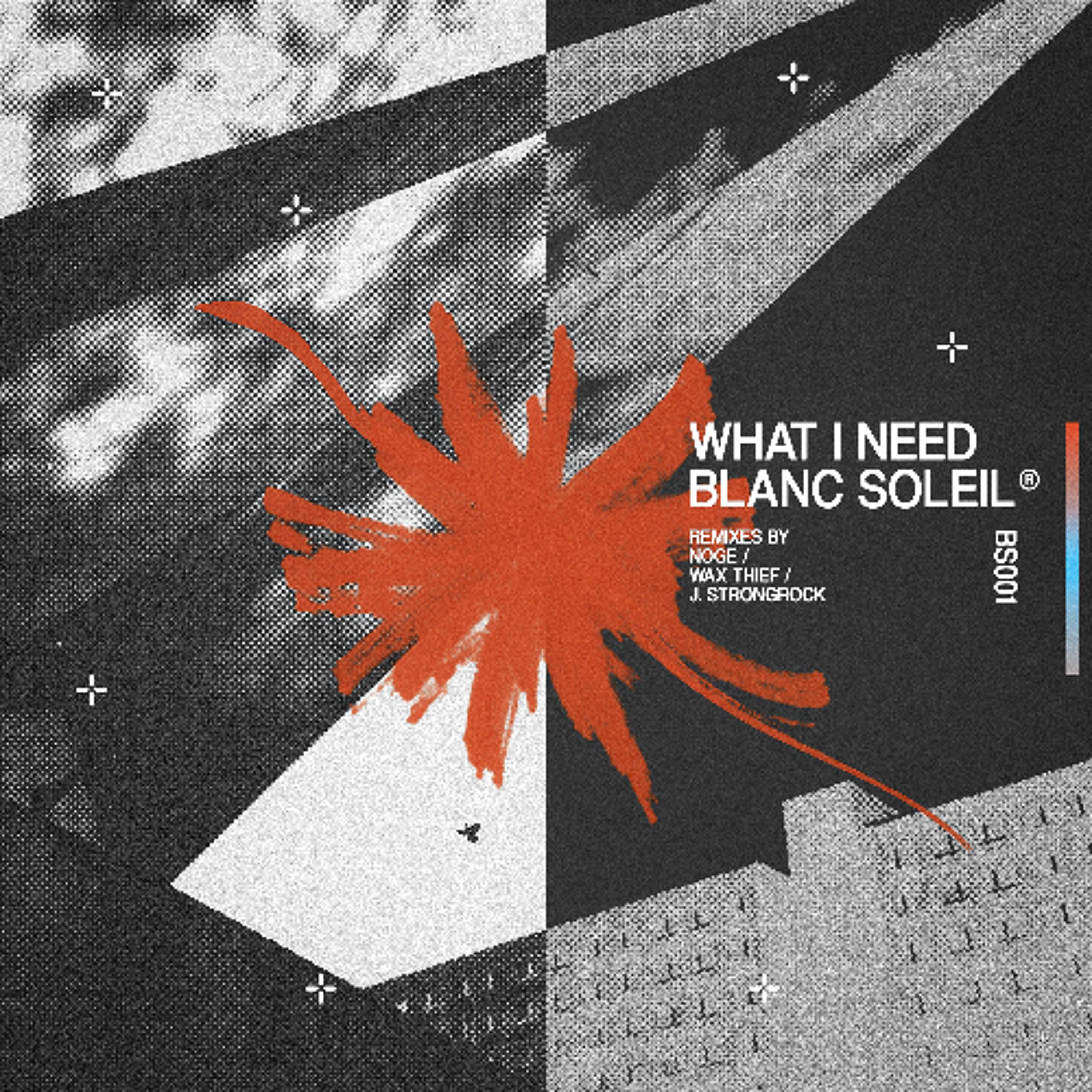PREMIERE : Blanc Soleil -  What I Need