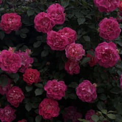 영원회귀