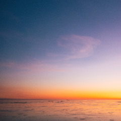 Krick & Ivika Puust - PLM