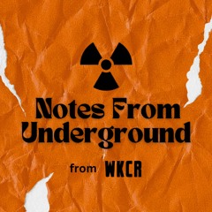 NOTES FROM UNDERGROUND ☢️