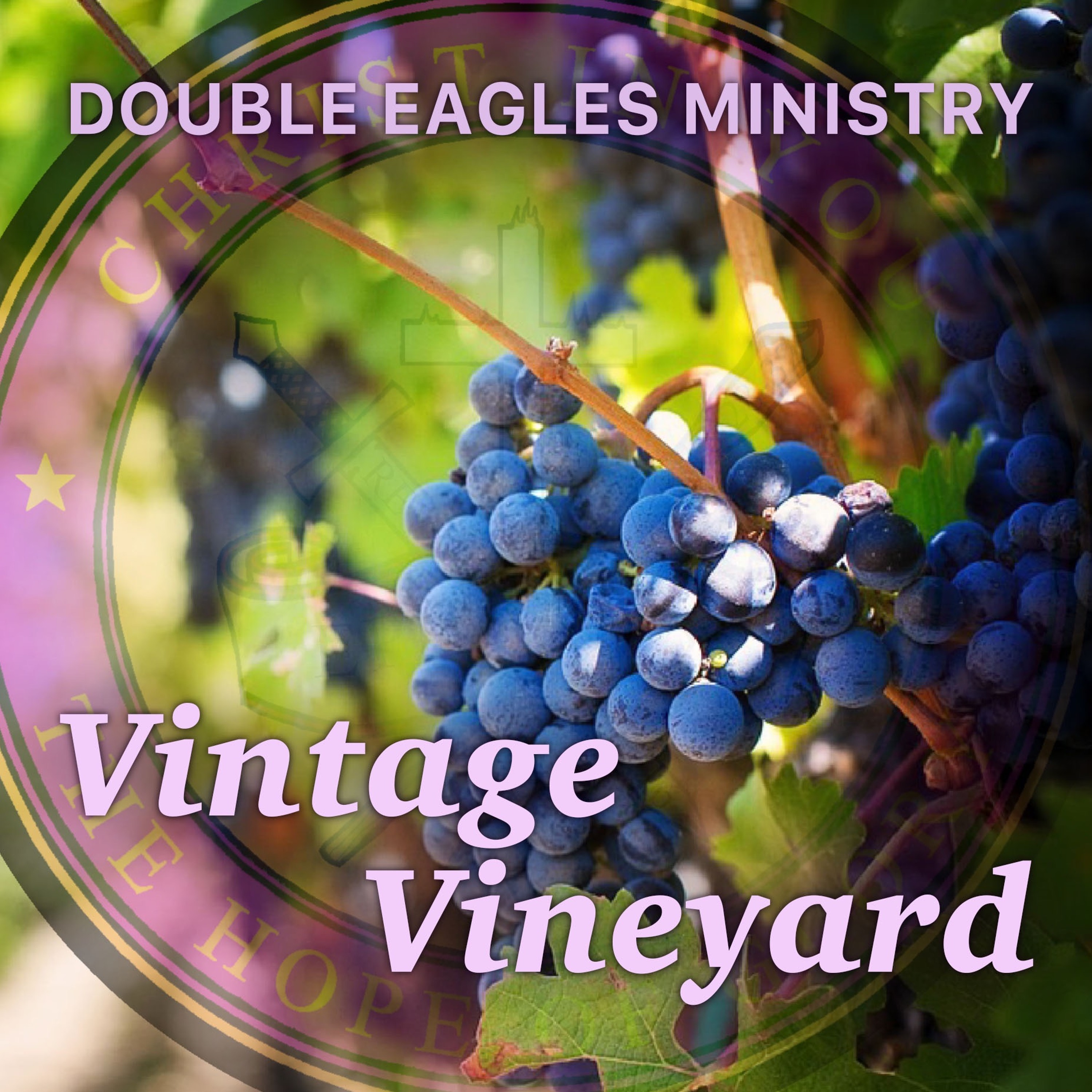 Vintage Vineyard episode artwork