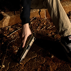 inna Lab  (drazdidit911)