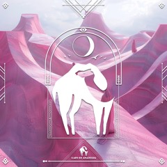 My Heart is Singing - Guitars Acoustic Version