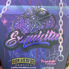 exquisita
