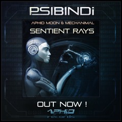 Psibindi vs Aphid Moon - Sentient Machine (Taster)