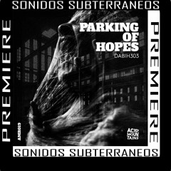 | Premiere | Dabih303 - Rave Land | [Acid Mountains Records]