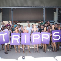 EDC Quarantine Live Stream Submission (2020)