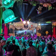 Roman Adam @ Bucht der Träumer 2025 I Opening Seeblick Stage