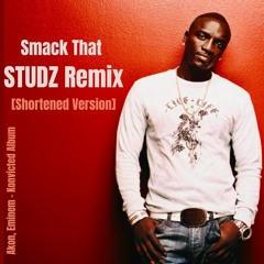 Akon, Eminem - Smack That (STUDZ Remix) [SHORTENED Version]