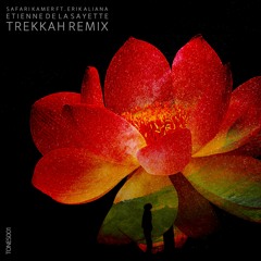 Safari Kamer ft Erik Aliana - Etienne De La Sayette (Trekkah Remix)