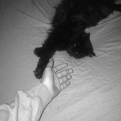 مش باين في العيون انك ممكن تخون