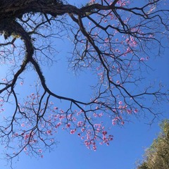 O Meu Desejo é Te Ter (prod. yvngnari)