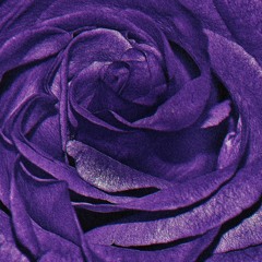 Namae (Feat. Wannafeelalive)