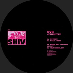 UVB - Jesterize EP [SHIV001]