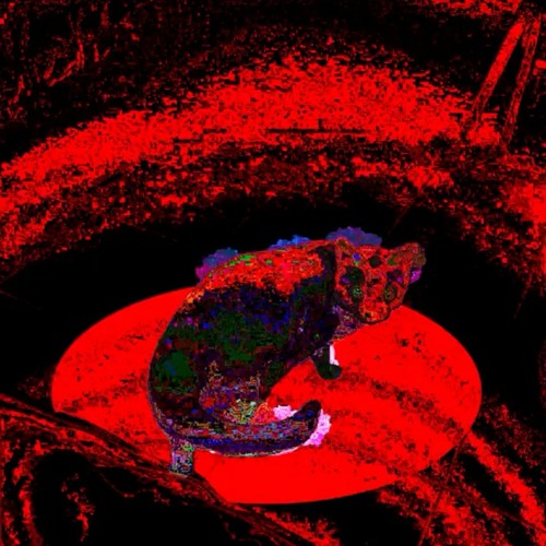 Rotting in noise