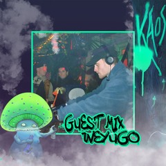 KAOS GUEST MIX #16 - WEYUGO (4X4)