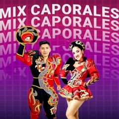 Mix Caporales 2024 Tupay, Asi D Ron, William Luna, Milena Warthon, Brisas Del Norte, Mix Saya Morena