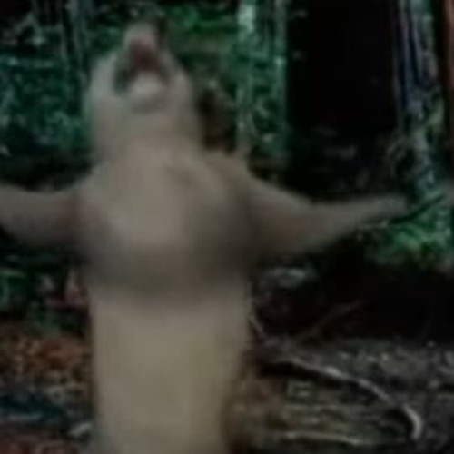 sweetest pie (sped up) Track not my