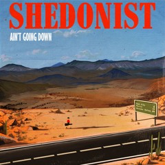 Ain't Goin Down - Shedonist