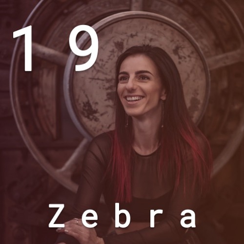 Beat4Structure#19 - Zebra