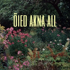 Õied akna all